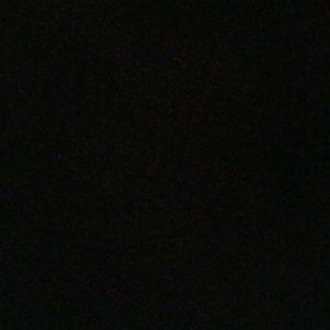 Meet your Posher, Craig